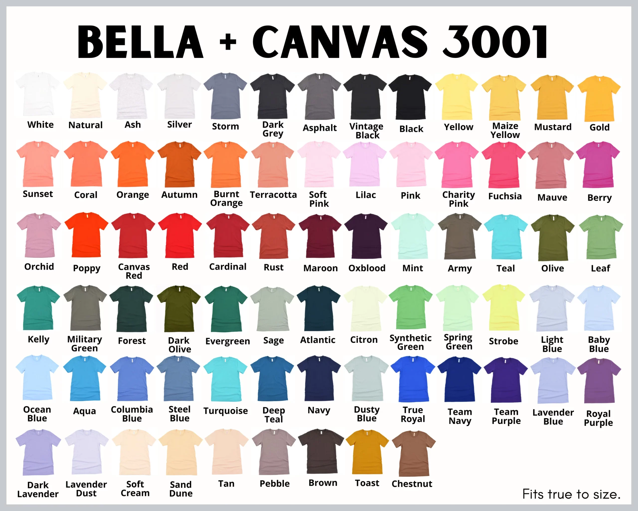Bella+Canvas 3001 Unisex Jersey Tee – M&M Vinyl & More